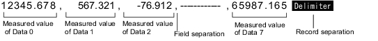 Illustration of ASCII data output format