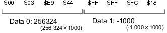 Illustration of binary data output format