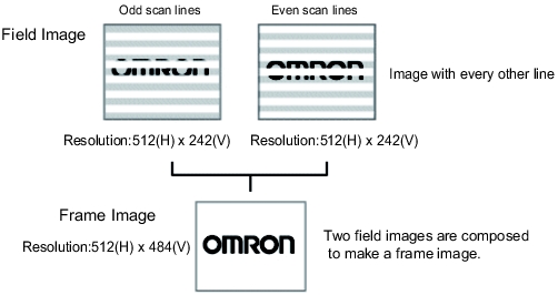 Frame Images/Field Images