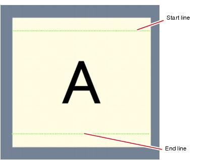 Camera Setting - Image Display Area